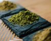 Exploring Kratom: Natural Remedies for Health and Well-Being