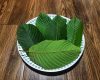 Exploring the Health Benefits of Kratom: What You Need to Know